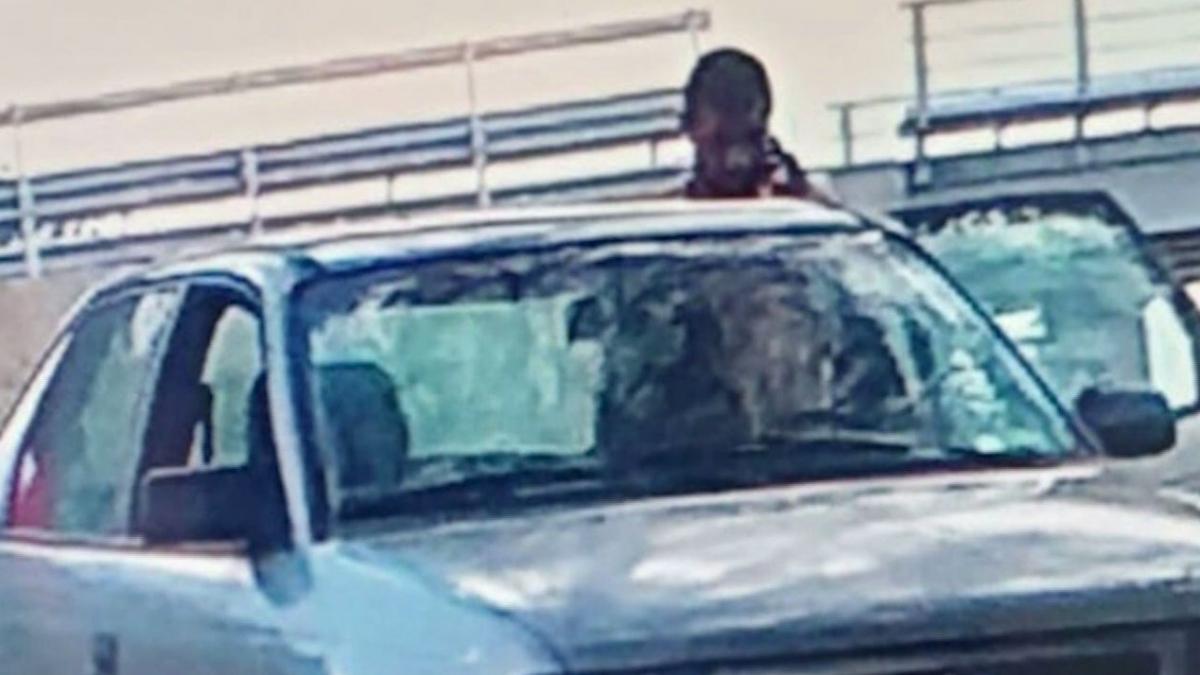 prima poza a suspectului in crima din magurele ucigasul umbla inarmat prin lume