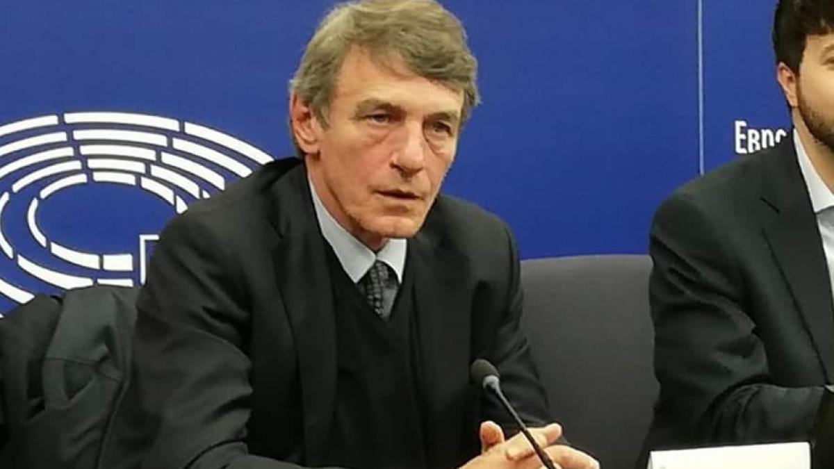 presedintele parlamentului european reactioneaza in cazul mortii alexandrei macesanu cazul a