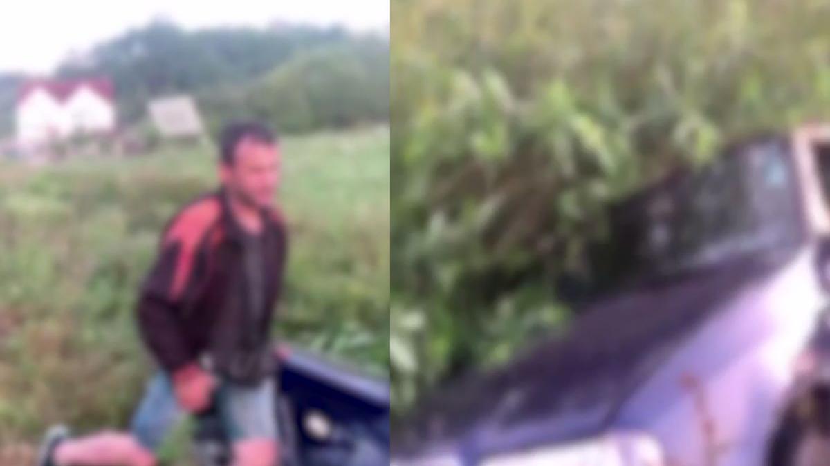 un sofer beat crita a provocat un accident si ajuns cu masina in camp prima lui reactie video