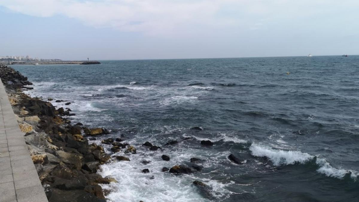 nereguli grave la o tabara de pe litoral