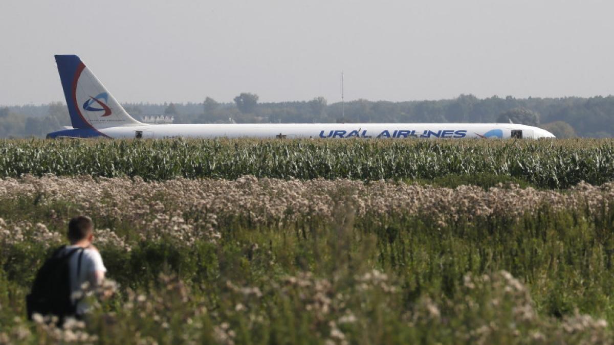 un avion a aterizat de urgenta intr un lan de porumb zeci de pasageri au fost raniti dupa ce