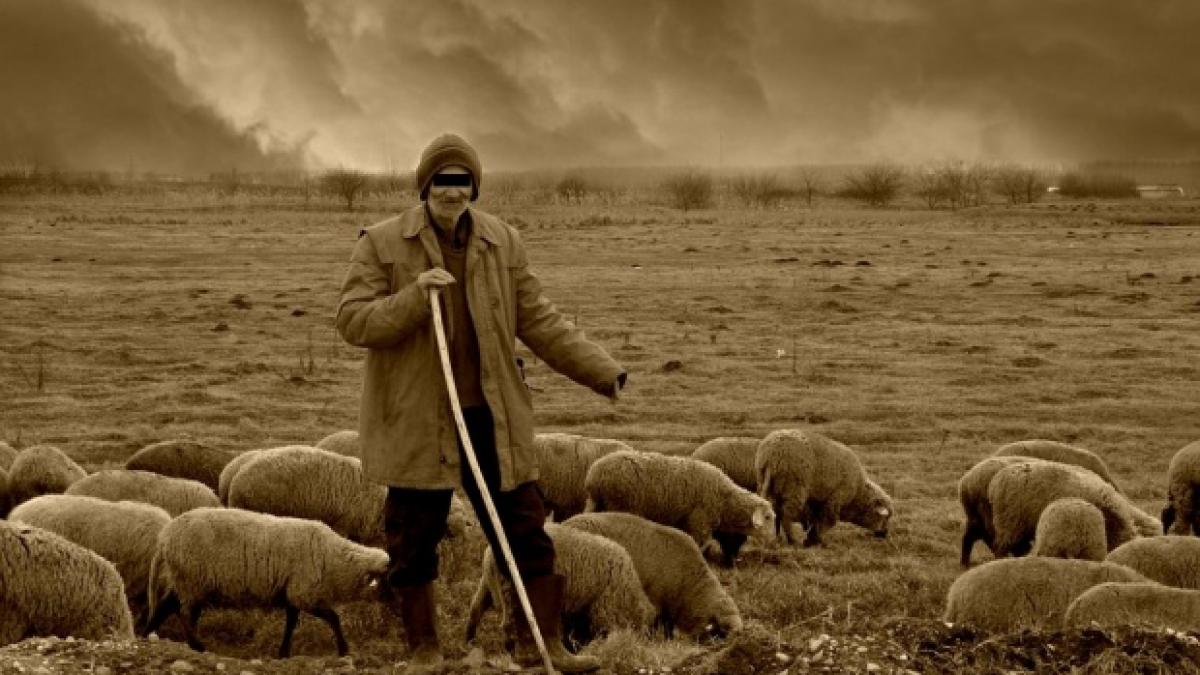 un cioban din sibiu s a intors baut la stana si s a luat la cearta cu un prieten in cele din urma a