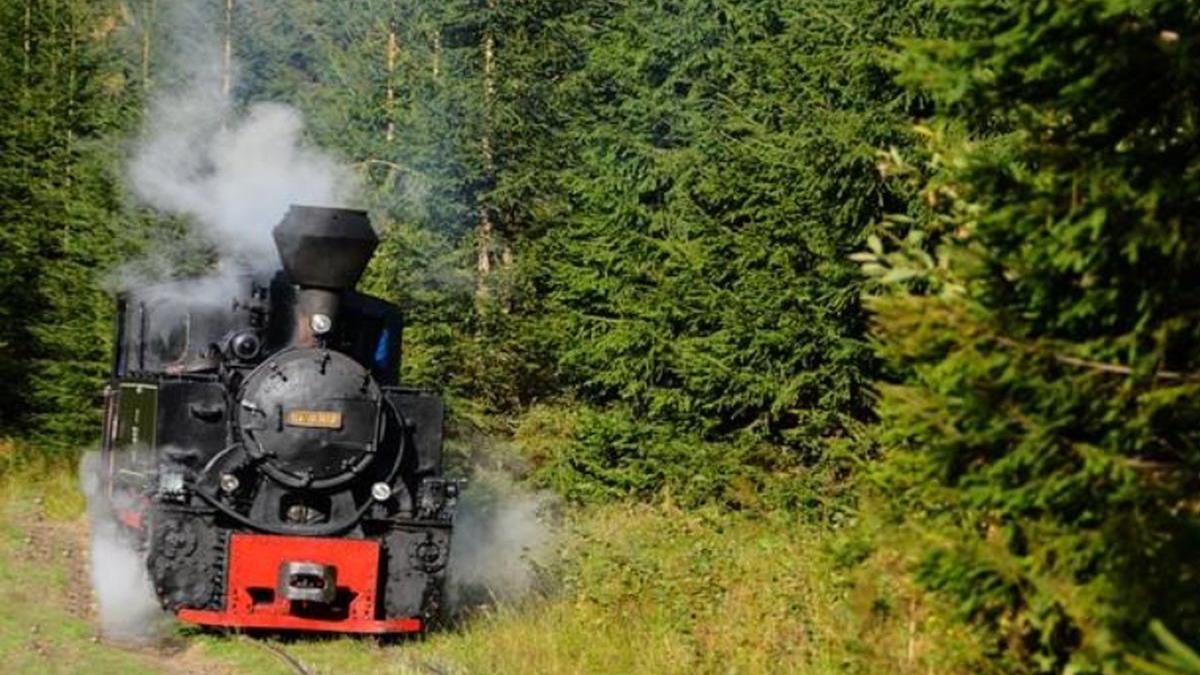 alerta in maramures mocanita a deraiat din nou