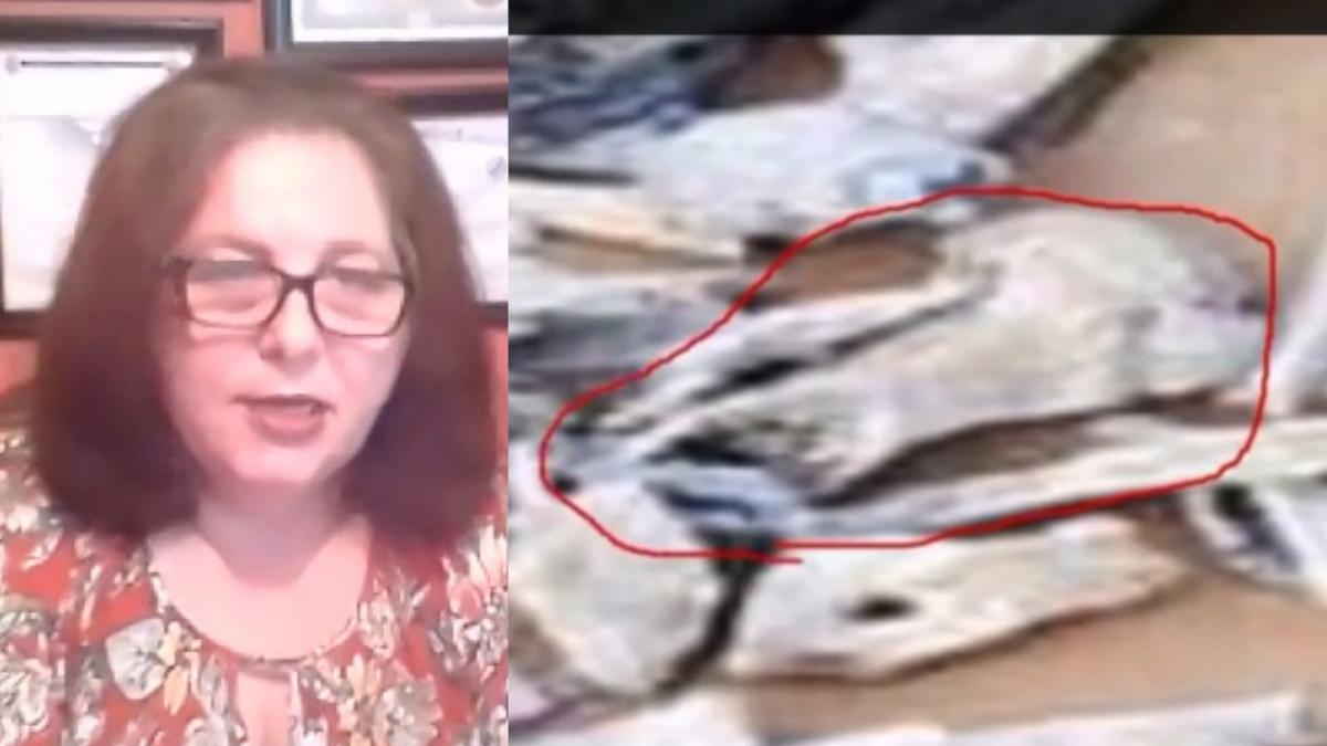 renumit specialist fbi despre oasele descoperite in padure atentie informatii care va pot afecta