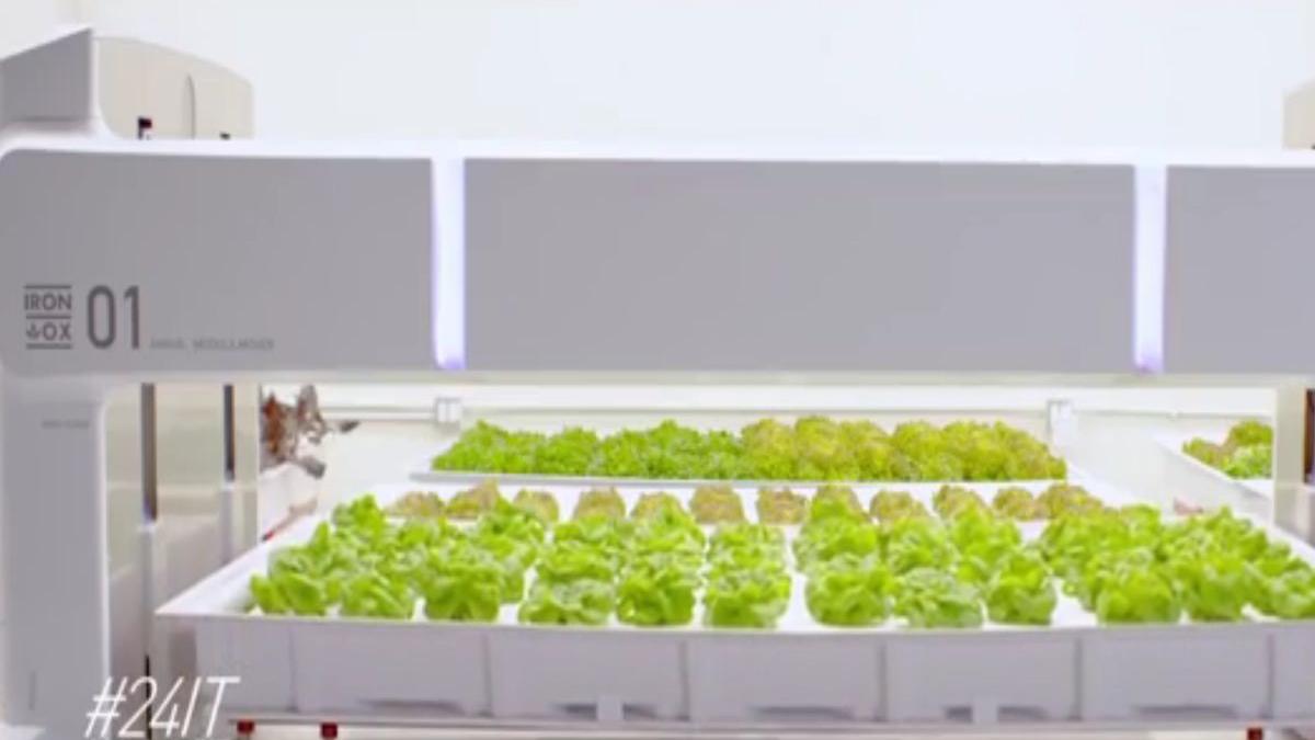 24 it inovatiile tech care ne vor face viata mai buna