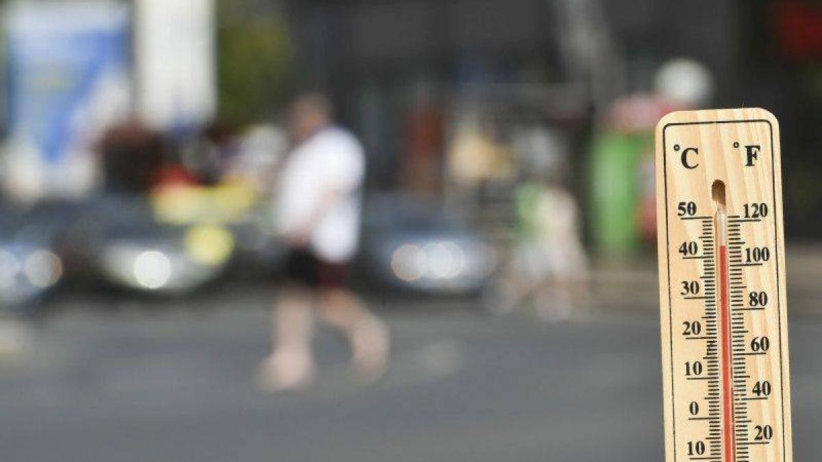 prognoza meteo pentru urmatoarele doua saptamani vremea va fi in general caniculara la nivelul