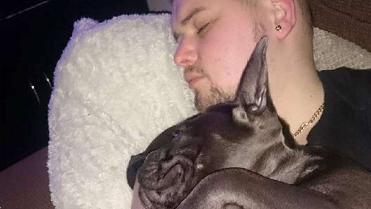 loialitate pana la final stapanul lui a murit de cancer iar cainele nu a putut trai fara el s a