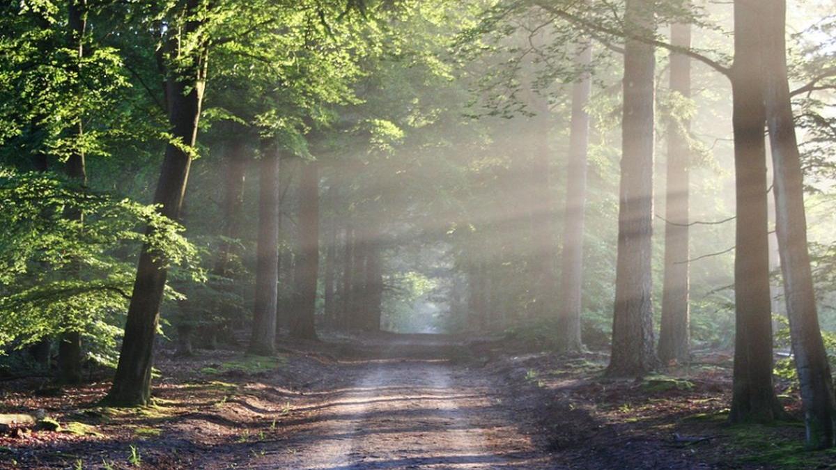 prognoza meteo vremea va fi calduroasa in cea mai mare parte a tarii