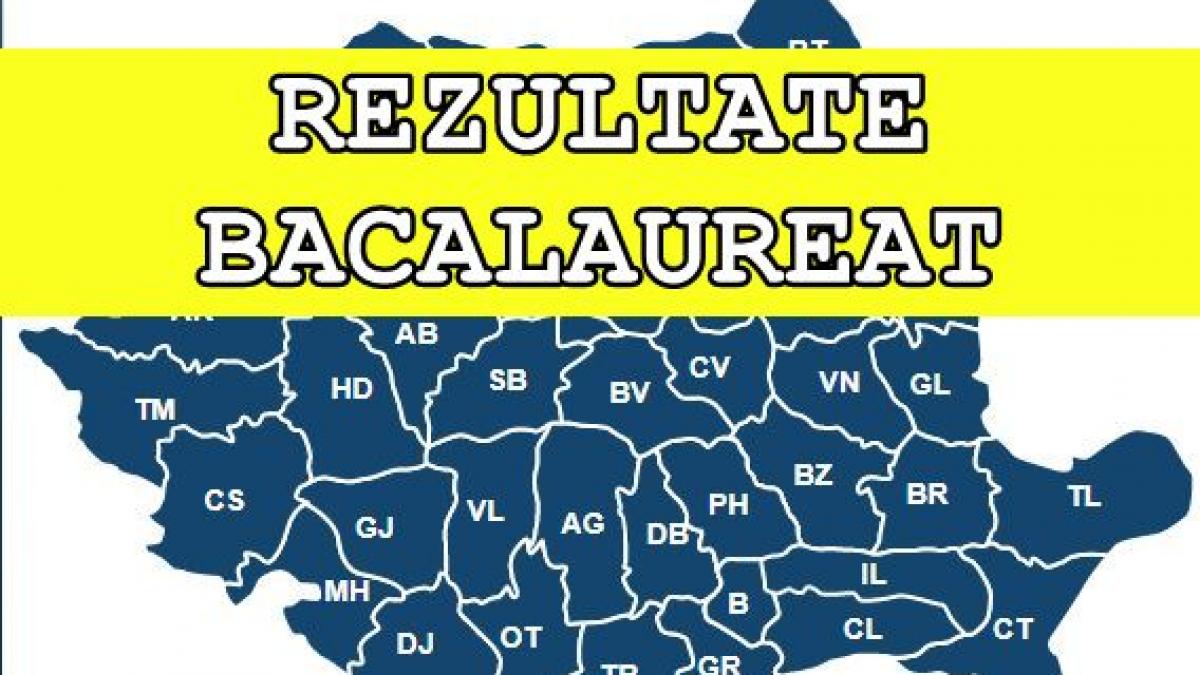 cum se noteaza subiectele la romana la bacalaureat 2019 sesiunea august