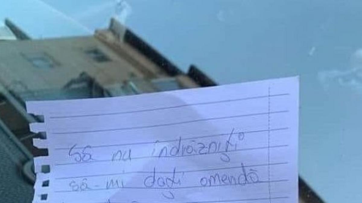 o tanara din baia mare a lasat un mesaj inedit politistilor sa nu indrazniti sa mi dati amenda