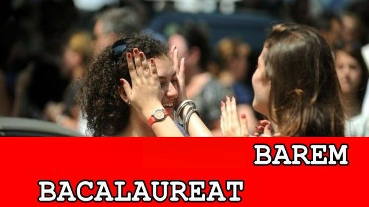 subiecte bacalaureat 2019 romana toamna
