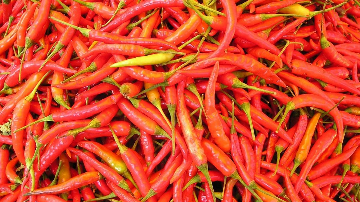 vamesii au cercetat un camion cu ardei iuti dar au fost luati prin surprindere de ce au gasit acolo