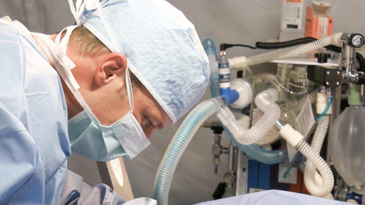 gestul emotionant facut de un medic in ultimele momente de viata ale unei paciente urmaritorii au