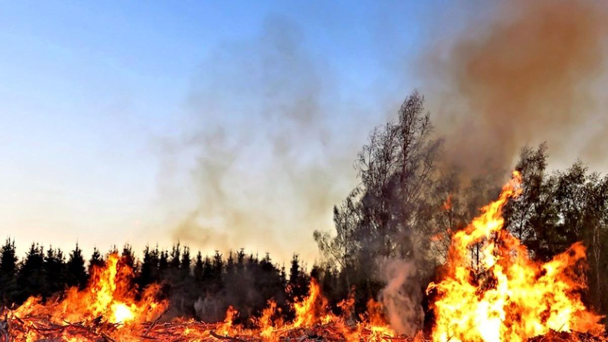 atentionare de calatorie de la mae e pericol de incendii in mai multe zone din grecia