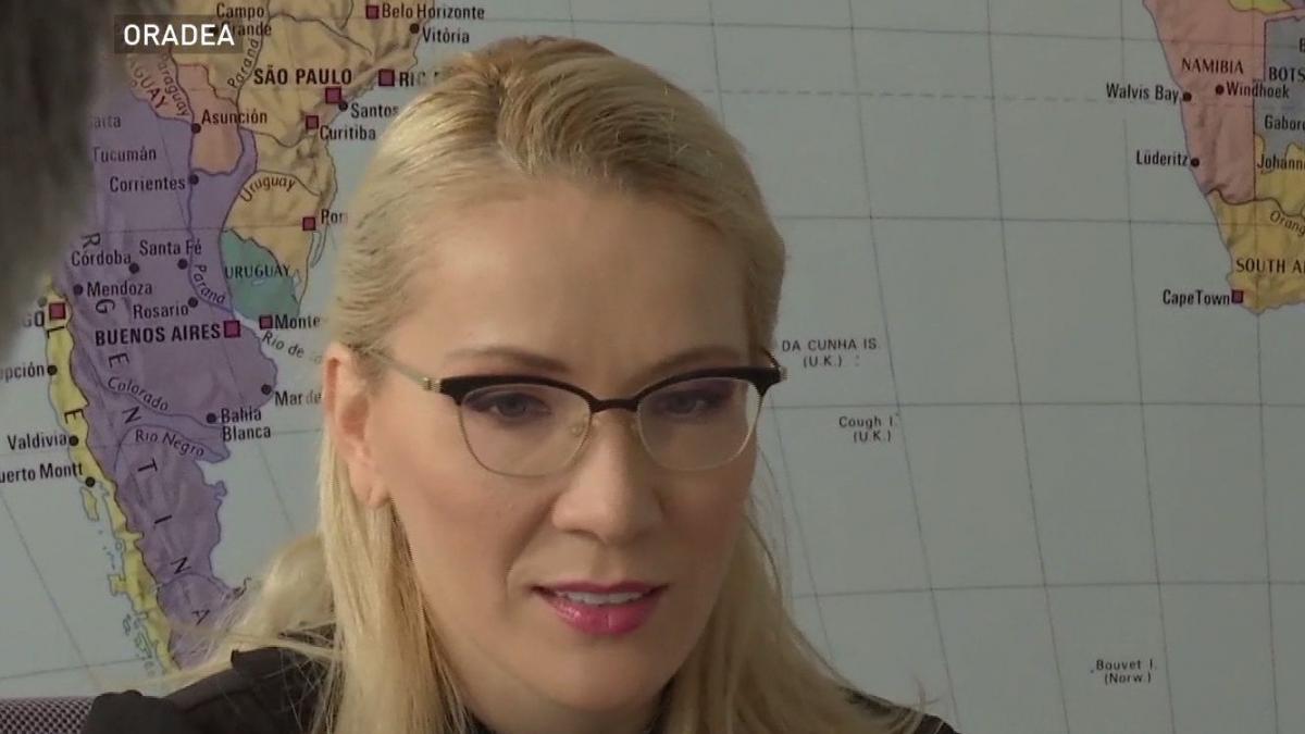 ramona ioana bruynseels despre nevoia urgenta de o strategie nationala de export realista