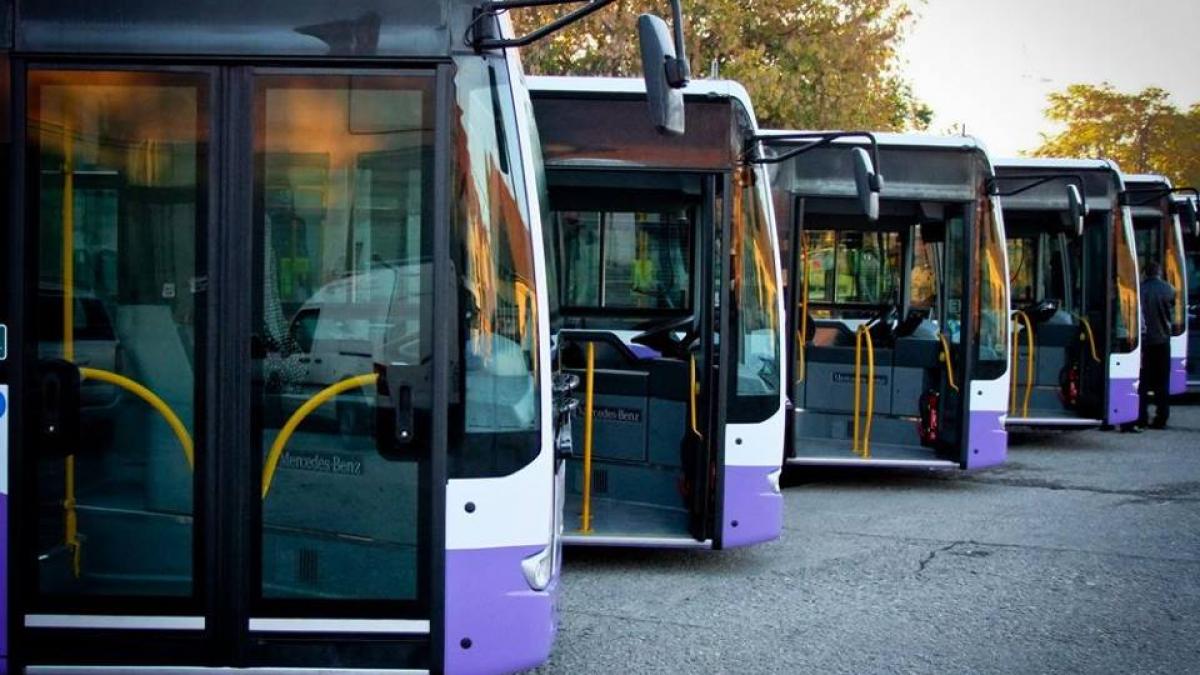 soferul unui troleibuz din timisoara a fost concediat dupa o postare pe facebook noua conducere