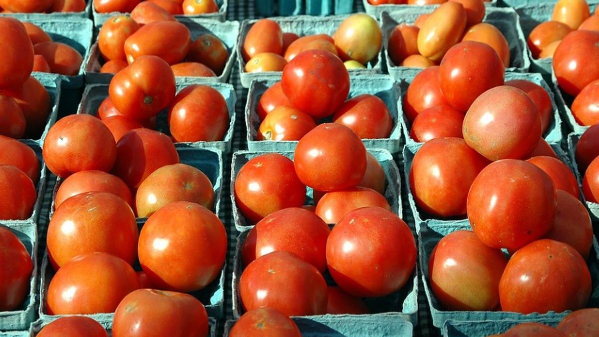 sarpe gasit pe rafturi intr un supermarket din sfantu gheorghe era pe cutiile cu rosii posibil sa