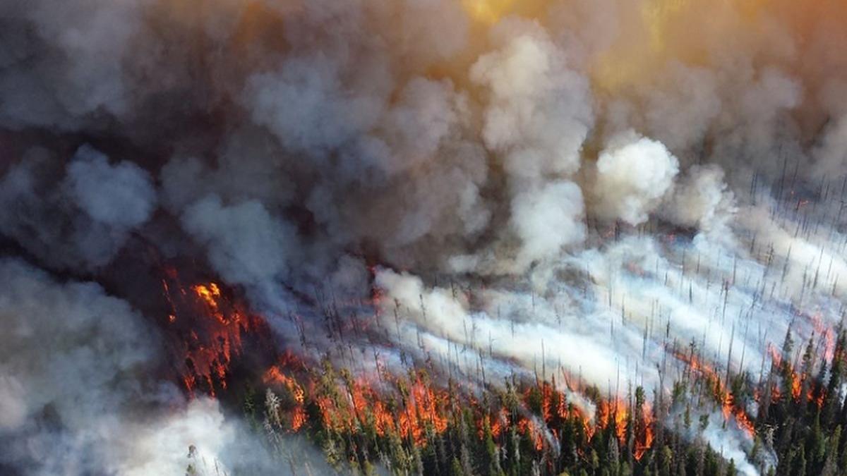 incendiu de padure in grecia sute de turisti au fost evacuati din hoteluri si de pe plaje