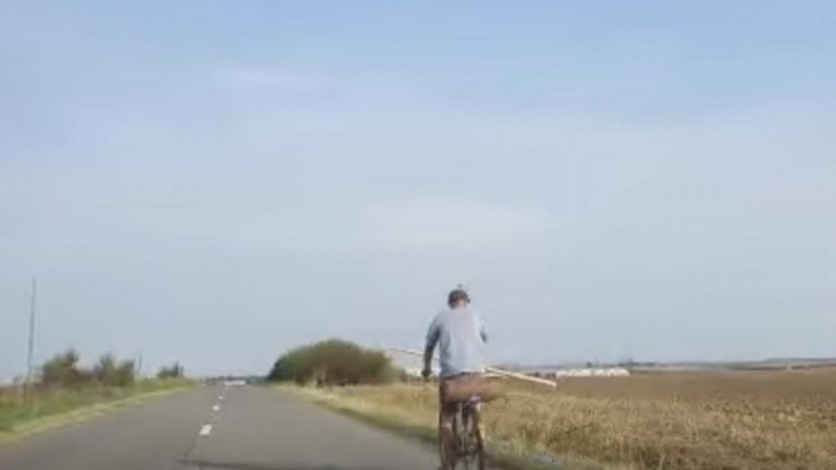 oamenii aflati pe drum intr o localitate din judetul arad au incremenit la propriu cand au vazut ce