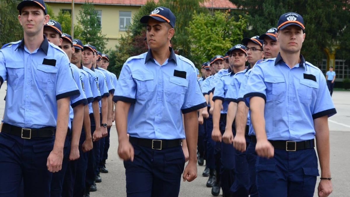 frauda la nivel inalt copiii unor oameni de afaceri au devenit peste noapte romi pentru a si creste