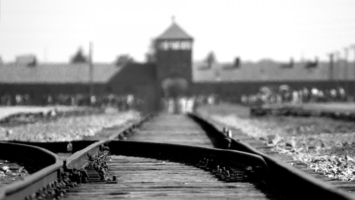 l au dus la auschwitz dar el s a apucat de gatit pentru nazisti si a copt evadarea si a scris