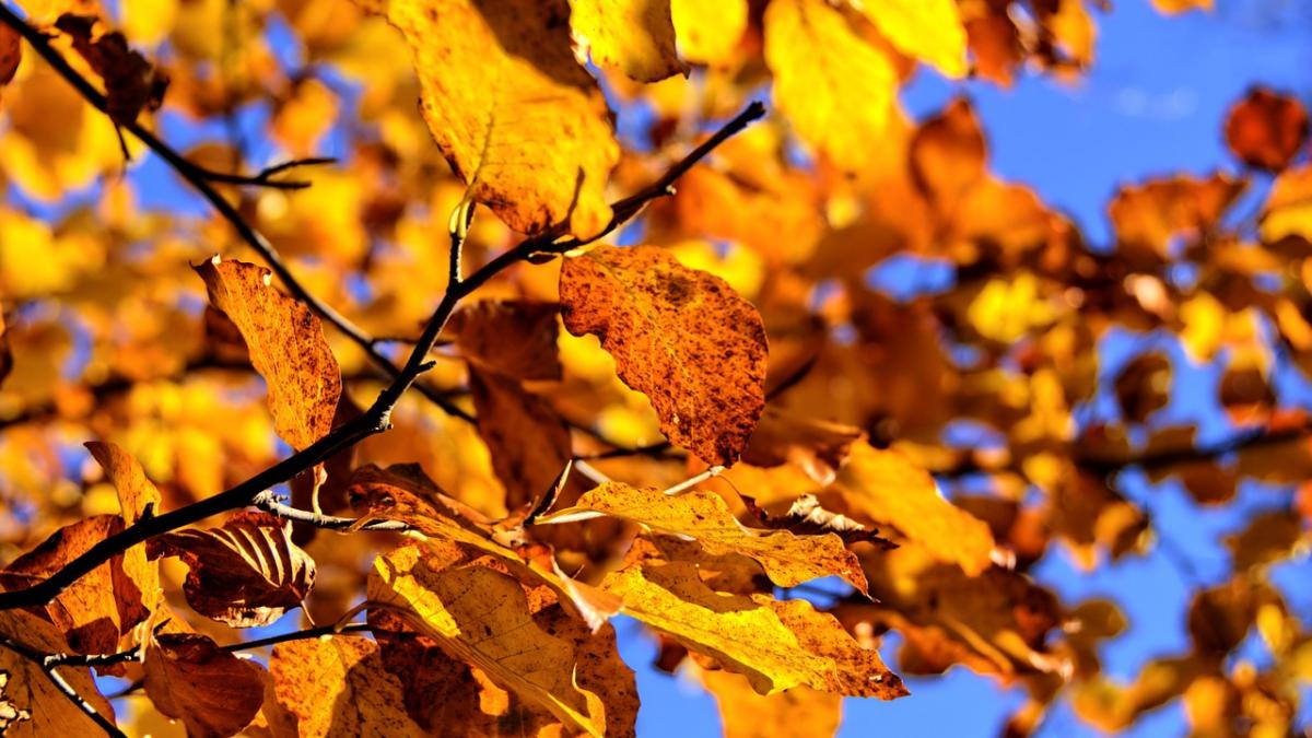 prognoza meteo 3 septembrie vesti proaste de la meteorologi