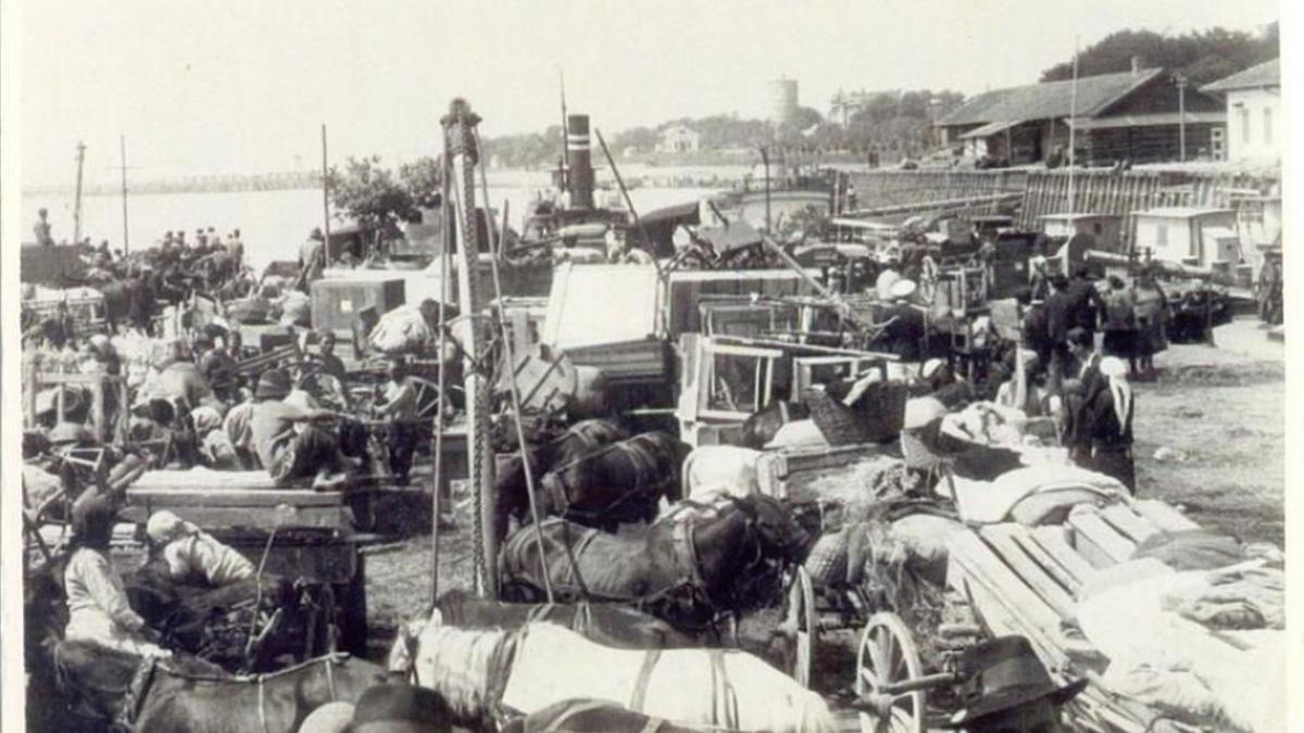 stiai cine sunt si cum au aparut aromanii