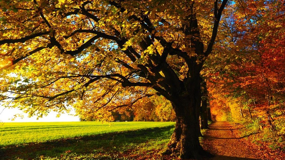 vremea se va raci prognoza meteo pentru marti miercuri si joi