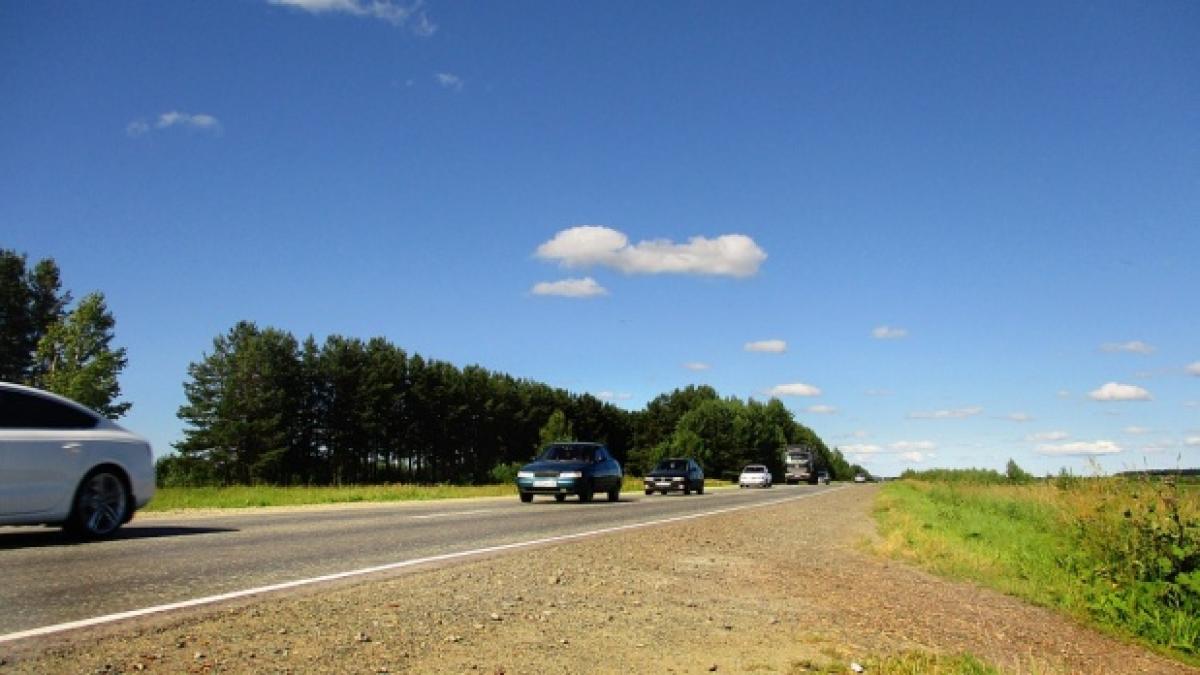 o tanara din salaj se afla pe drumul national in masina sa cand a vazut ceva naucitor a luat