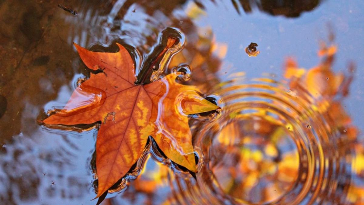 vremea se schimba radical temperaturile vor scadea