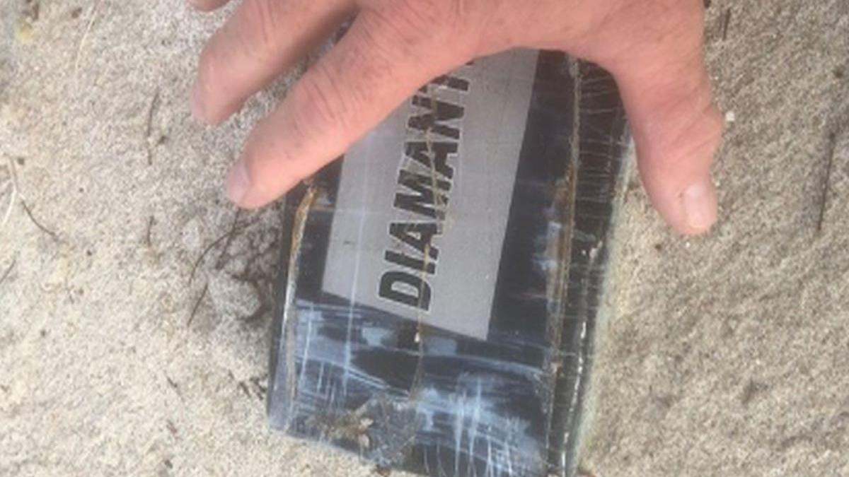 ce a aparut pe mai multe plaje din florida inaintea uraganului dorian oamenii au chemat imediat