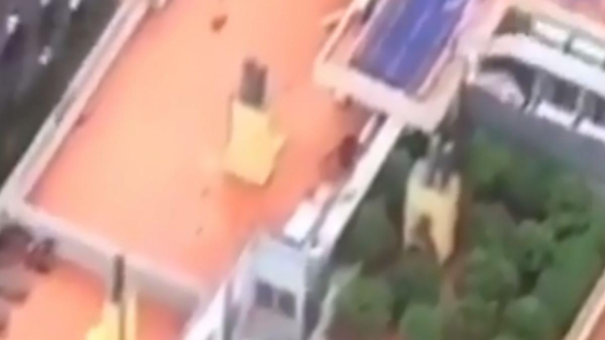 elicopterul unei televiziuni a filmat accidental o plantatie de marijuana pe terasa unui bloc de