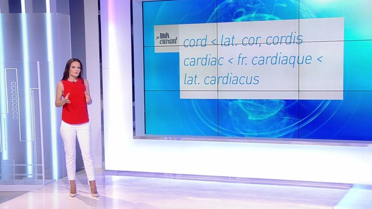 pe cuvant cu ana iorga totul despre originea cuvantului cord