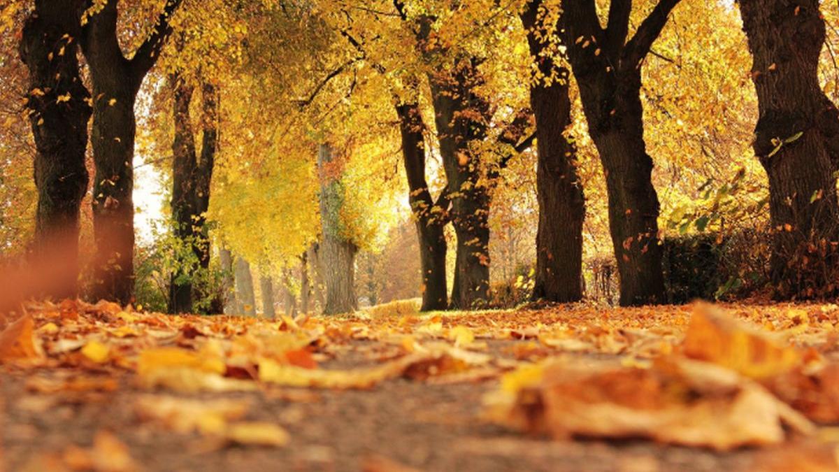 vremea s a racit drastic temperaturi de 25 de grade in capitala