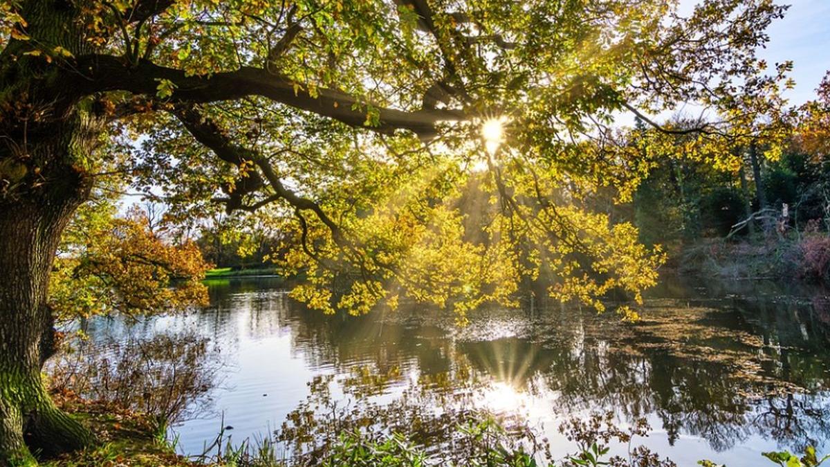 vremea vesti bune de la meteo cum va fi vremea in weekend