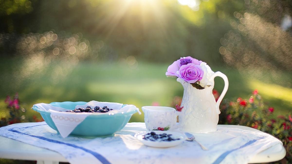 dieta adevarul despre reducerea numarului de calorii pe zi
