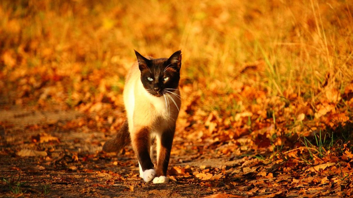 prognoza meteo 10 septembrie vesti neasteptate de la meteorologi
