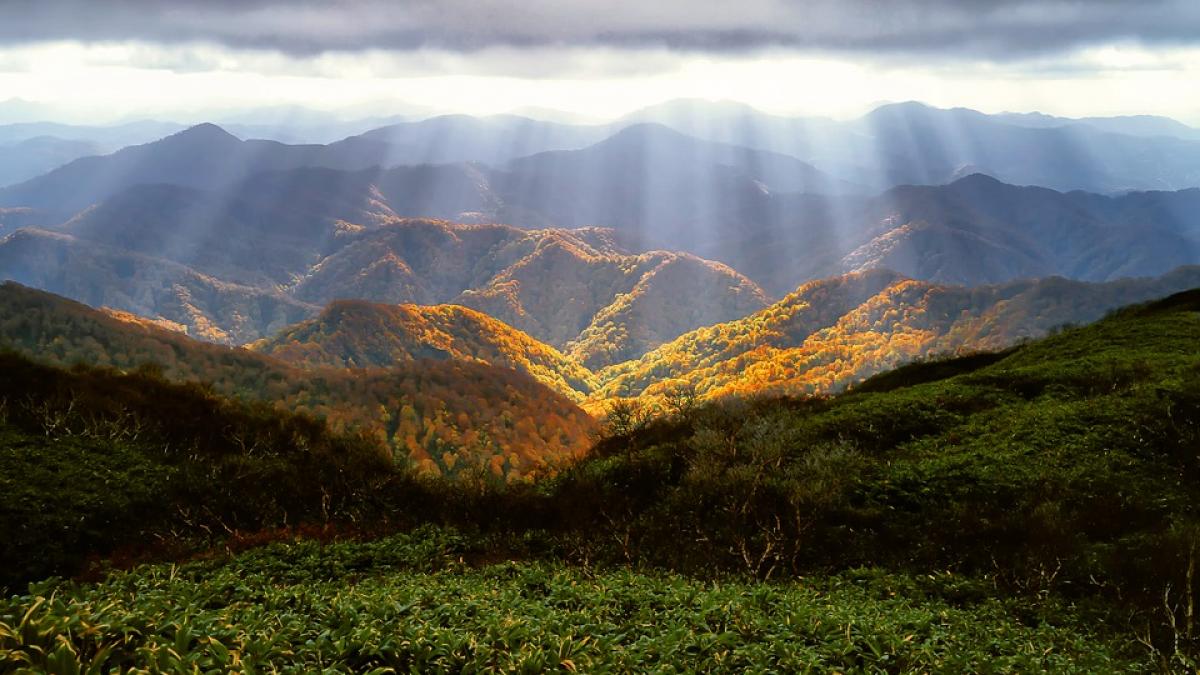 vremea pentru urmatoarele doua saptamani temperaturile incep sa scada