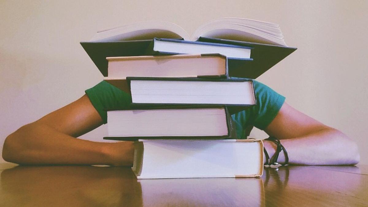 ce se intampla cu bursele elevilor in anul scolar 2019 2020 decizia luata de guvern