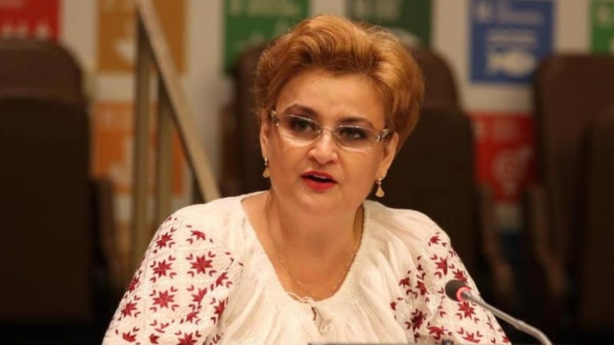 gratiela gavrilescu propusa de viorica dancila pentru un portofoliu de ministru alde risca sa