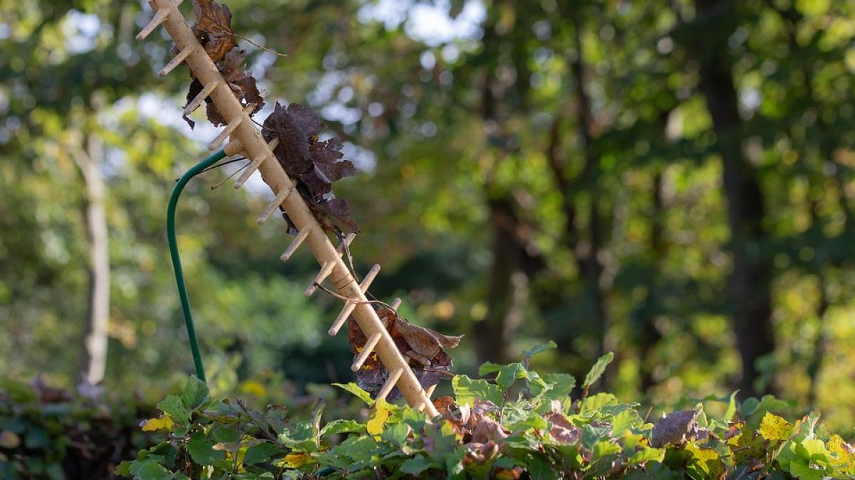 scene cumplite in pitesti a batut cu grebla un barbat care ii luase locul de parcare