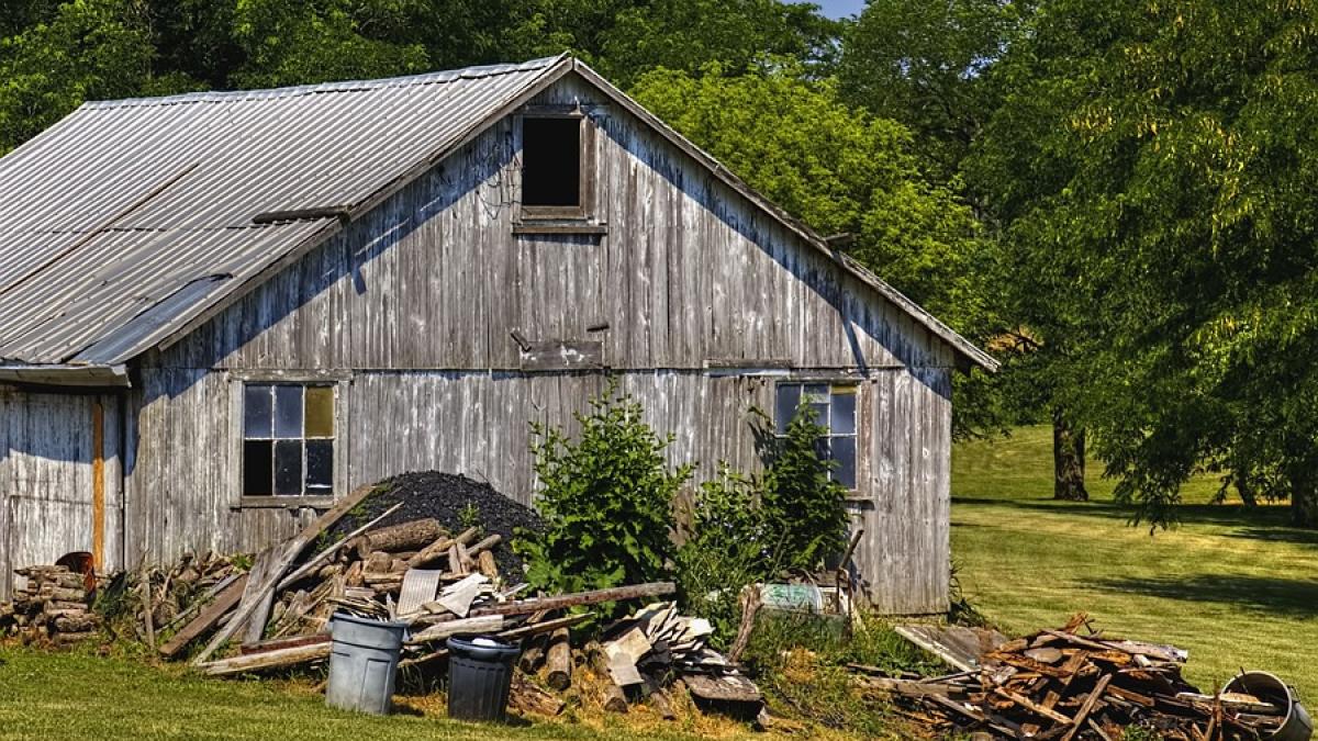 un barbat a murit dupa ce a fost inchis intr un sopron de catre sotia sa motivul inedit pentru care