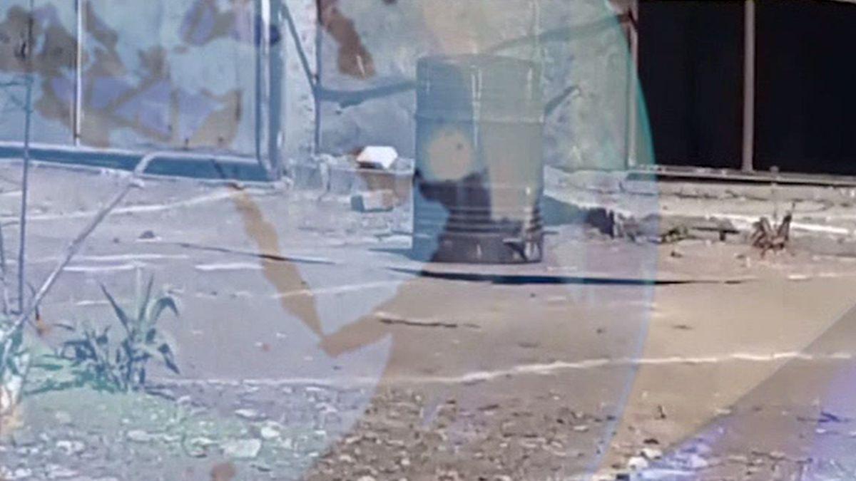 imagini de la reconstituirea crimelor de la caracal gheorghe dinca arata cum a pozitionat corpul