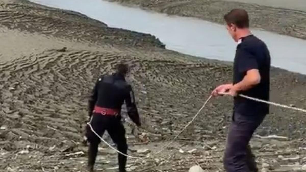 oamenii auzeau zgomote de langa barajul din ramnicu valcea si s au dus sa vada ce se intampla era