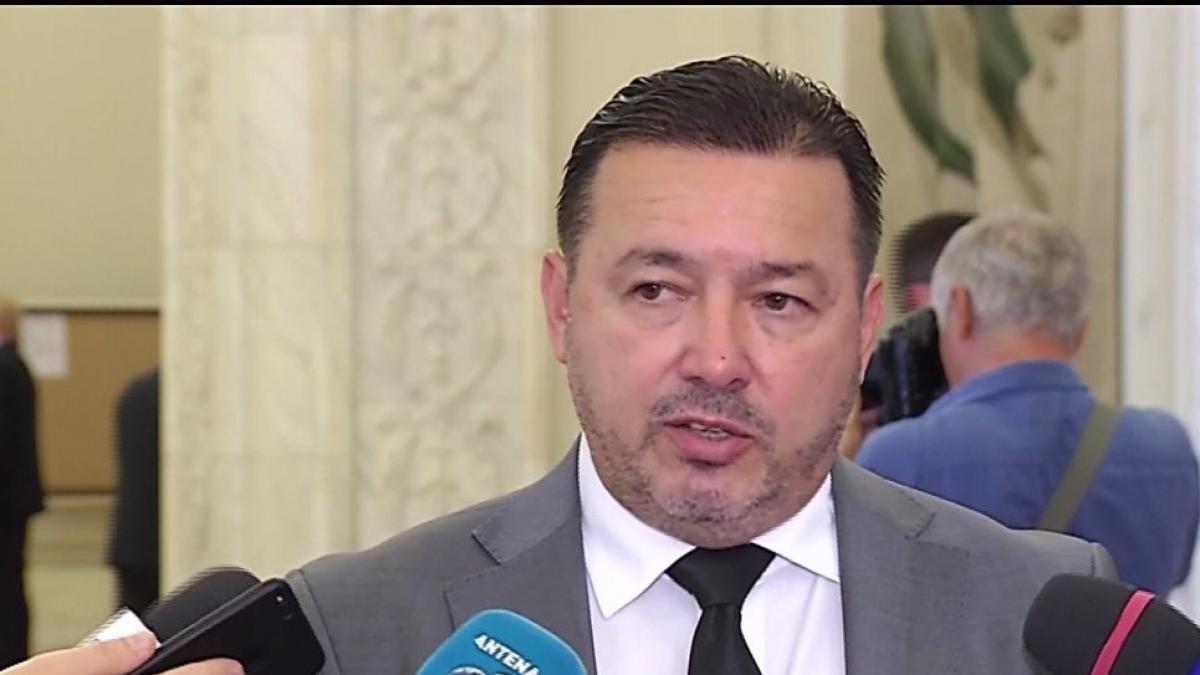 catalin radulescu deputat psd despre ana birchall ne a adus prejudicii de imagine extraordinare