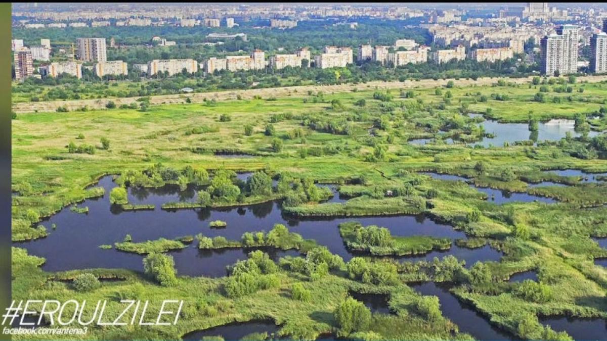 eroul zilei dan barbulescu despe maratonul pentru salvarea rezervatiei vacaresti