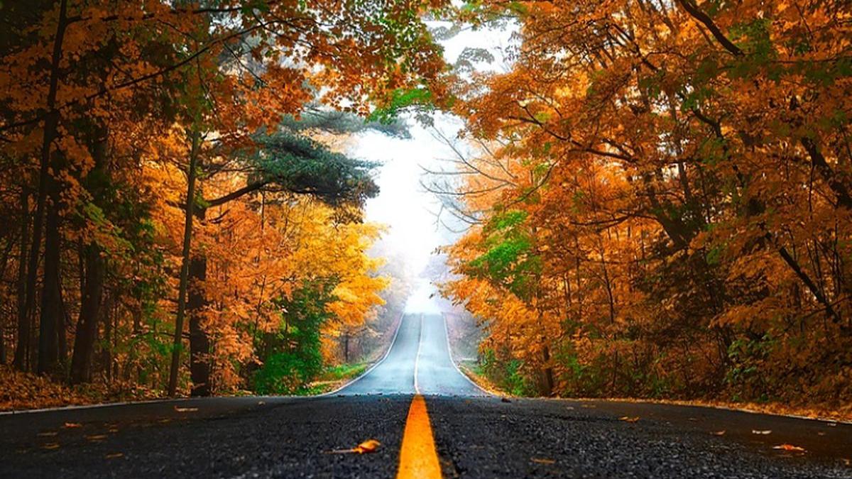 vine frigul un val de aer polar va scadea temperaturile cu mai mult de zece grade