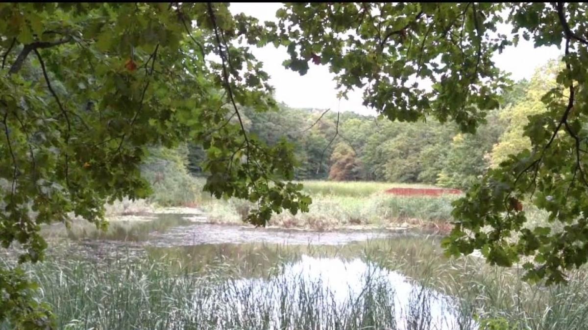 pargina totala in jurul lacului lui eminescu autoritatile dau vina pe lipsa banilor