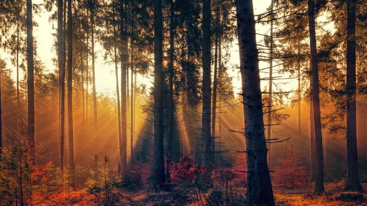 vremea in weekend surprize mari anuntate de meteorologi