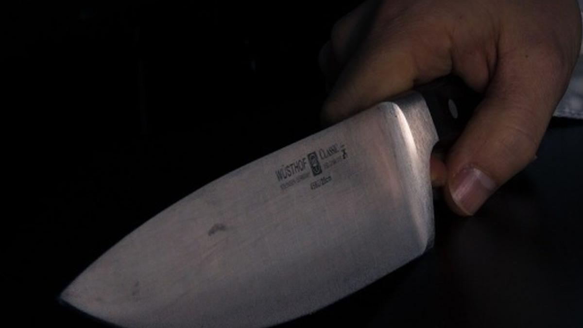 crima infioratoare in timisoara o tanara de 20 de ani a fost injunghiata mortal in parc